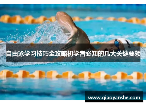 自由泳学习技巧全攻略初学者必知的几大关键要领