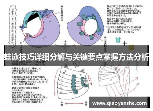 蛙泳技巧详细分解与关键要点掌握方法分析